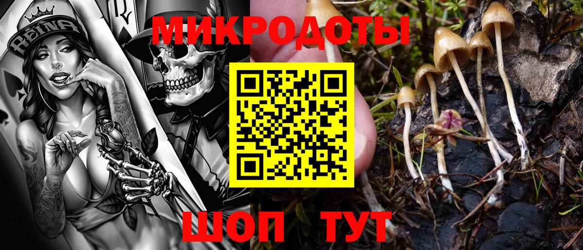 Галлюциногенные грибы ЛСД  закладки  Ахтубинск  Вход с VPN  Псилоцибиновые грибы Magic Shrooms 
