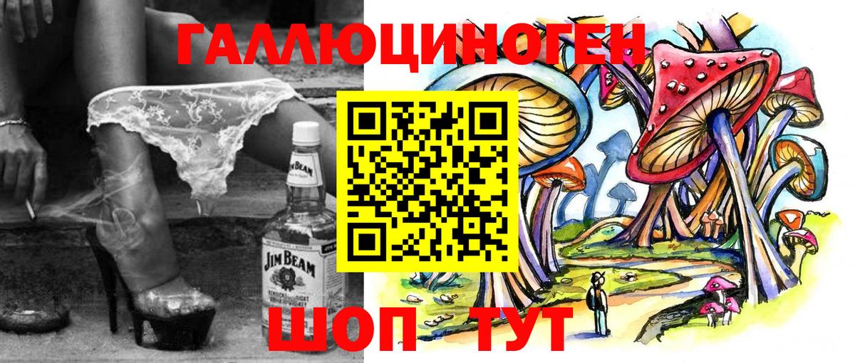 Псилоцибиновые грибы Psilocybine cubensis Ахтубинск